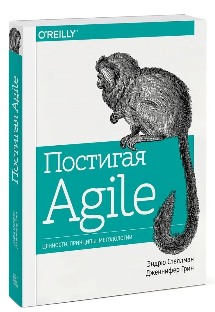 Розыгрыш книги «Постигая Agile» среди участников занятия в Нетологии