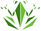 ClickFrog